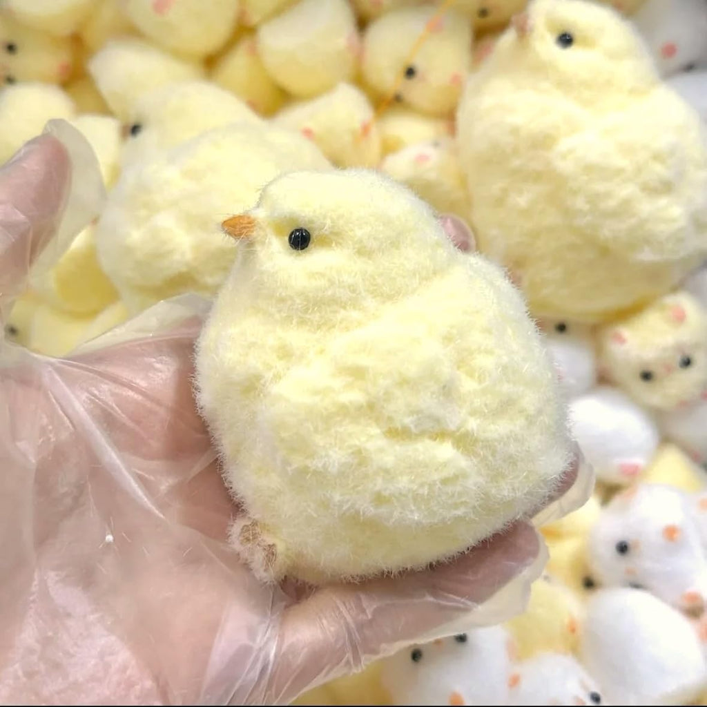 Chick Squishy